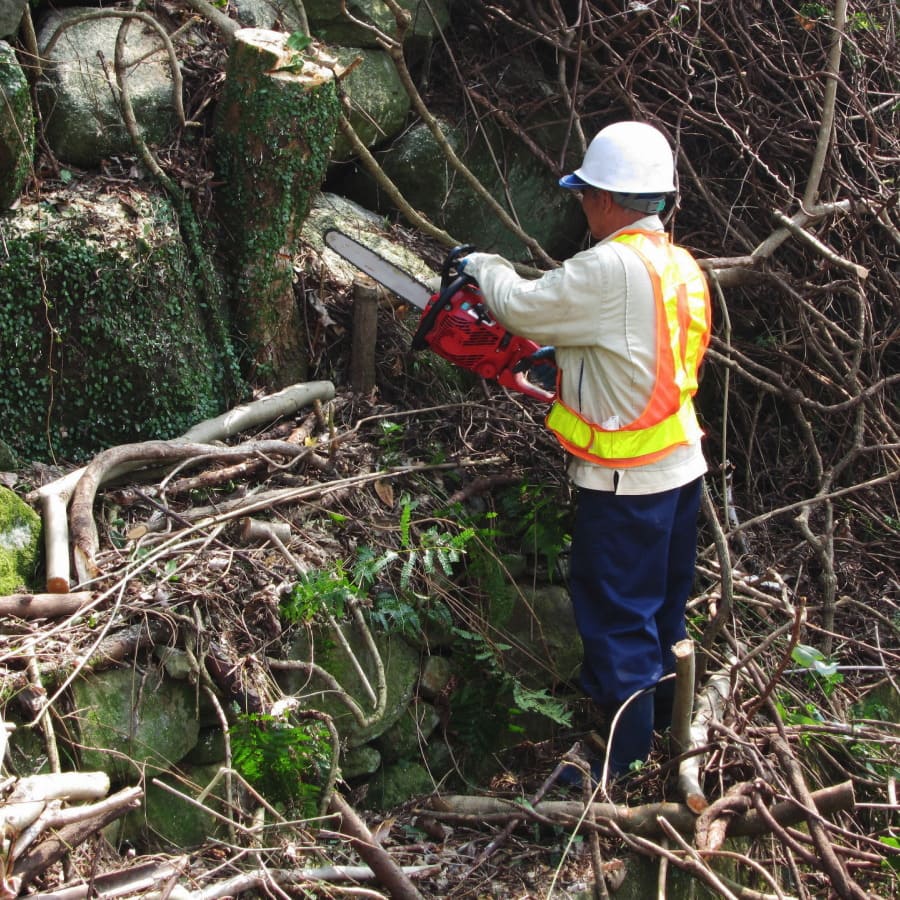 愛川町の伐採費用