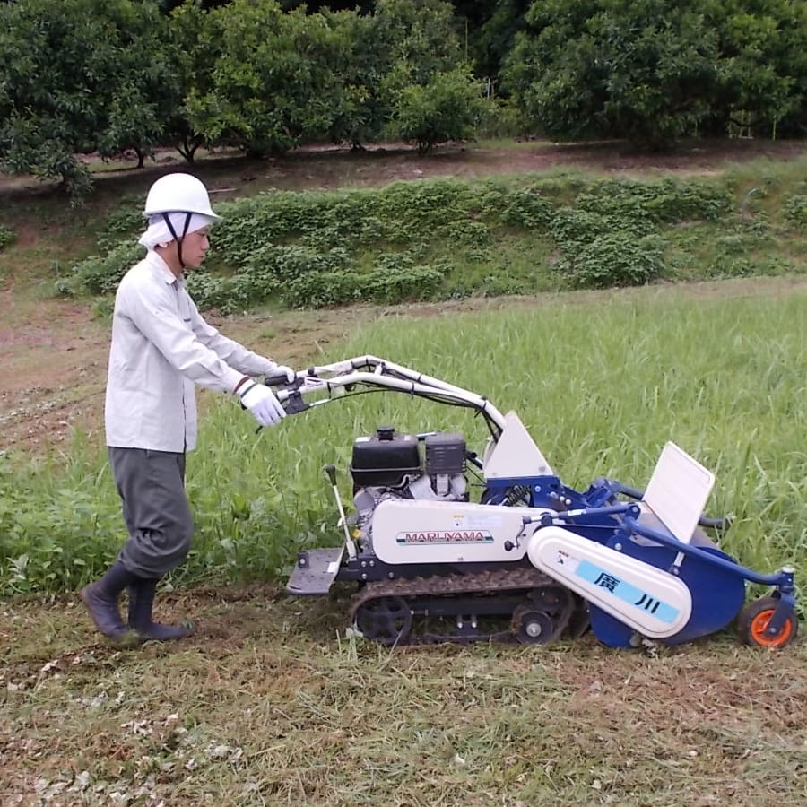 埼玉県東松山市の草刈り剪定作業