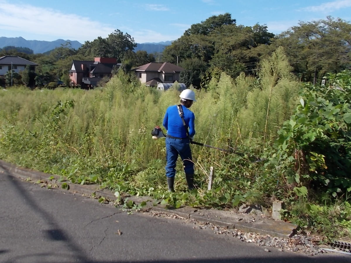 草むしり・草刈り作業