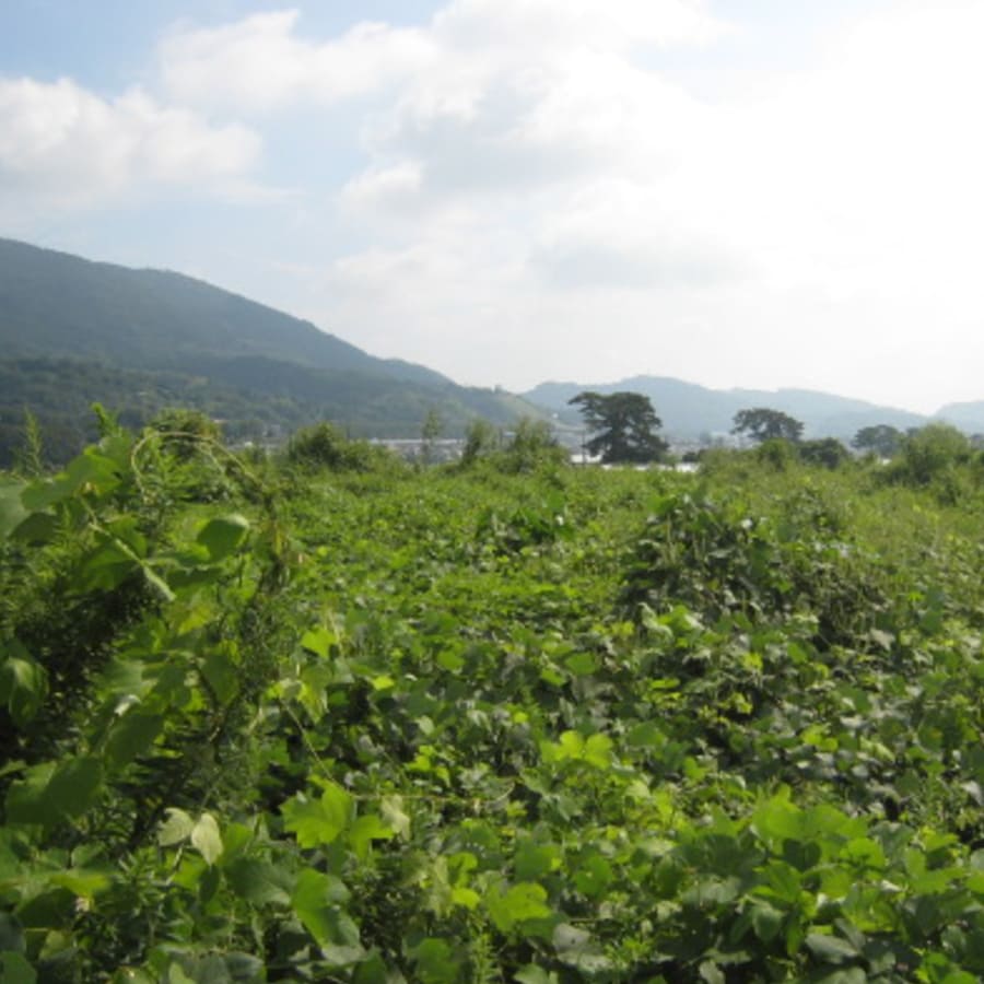 神奈川県南足柄市の農地・遊休地維持管理