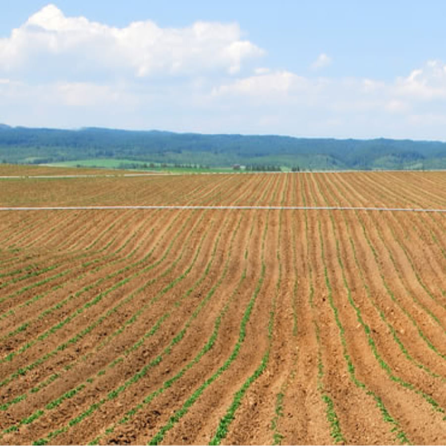 神奈川県小田原市の農地維持管理を行いました