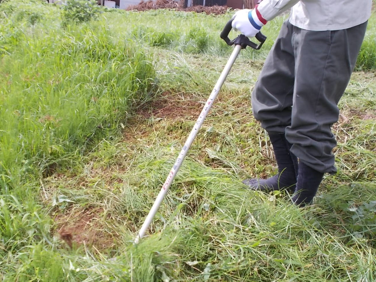 草むしり作業２