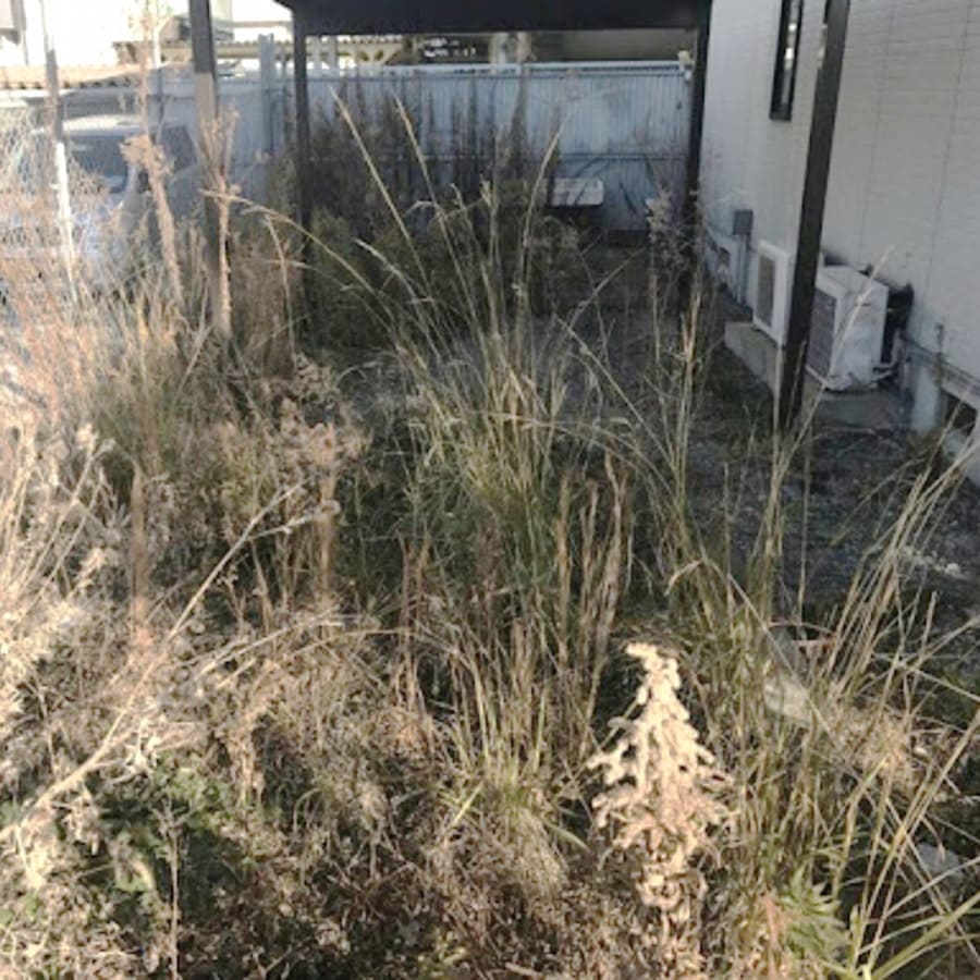 東京都府中市のお庭の草刈り・草むしり・除草剤散布を行いました