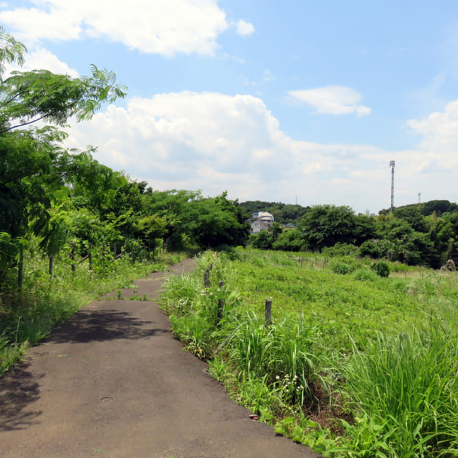 神奈川県横浜市の農地維持管理を行いました