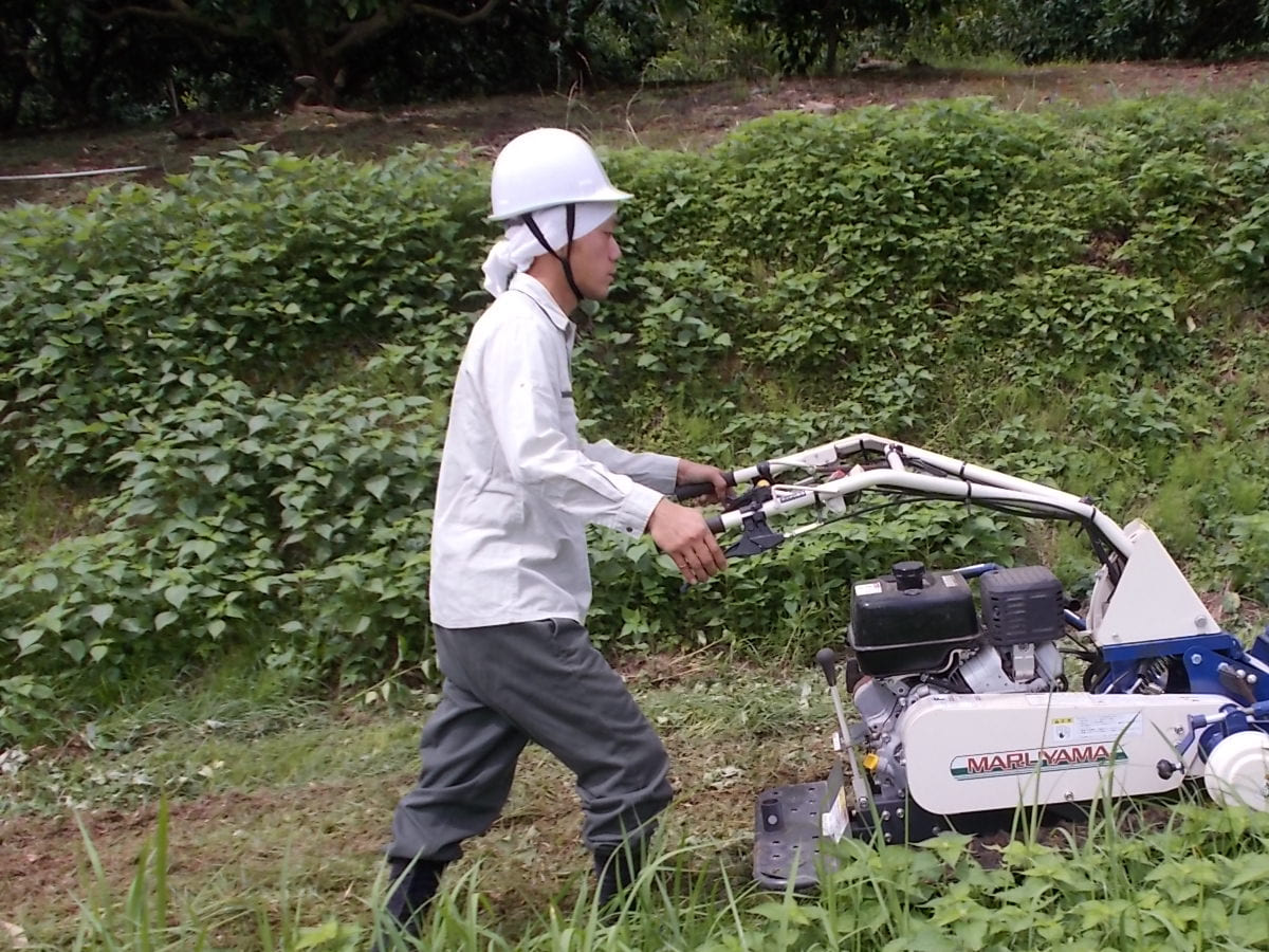 横須賀市久里浜の農地管理